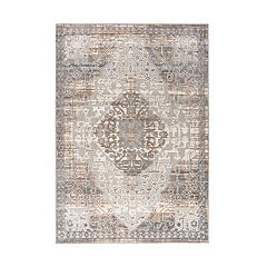 Superior Lille Traditional Floral Indoor Area Rug, 8x10 ft