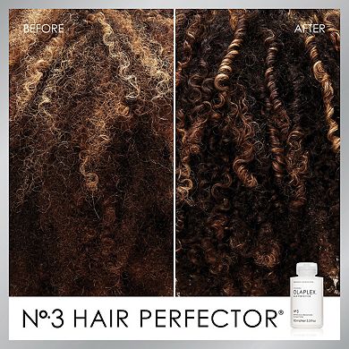 No. 3 Hair Perfector Pre-Shampoo Hair Repair Treatment