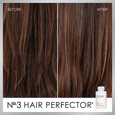 No. 3 Hair Perfector Pre-Shampoo Hair Repair Treatment