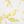 Citron White