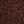 Chocolate Brown
