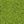 Grass Green