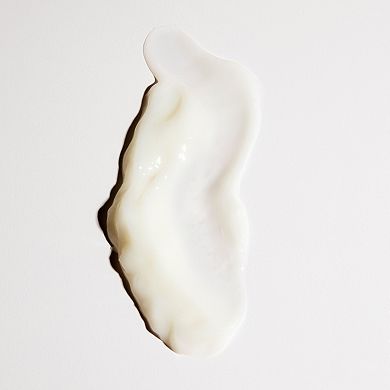 Mini Detangling and Frizz Fighting Leave in Conditioner