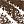 Medium Brown