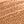 Pecan