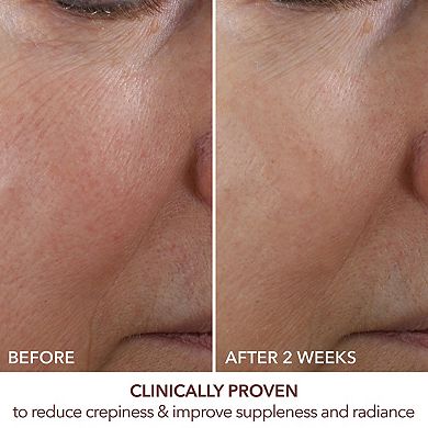 Advanced Retinol + Ferulic Overnight Wrinkle Treatment
