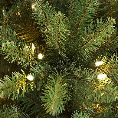 PULEO INTERNATIONAL 10-ft. Pre-Lit Pencil Fraser Fir Artificial Christmas Tree
