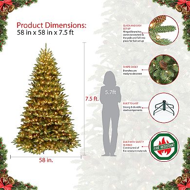 PULEO INTERNATIONAL 7-ft. Pre-Lit Color Select Fraser Fir Artificial Christmas Tree