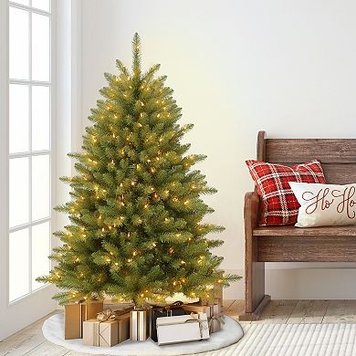 PULEO INTERNATIONAL 4-ft. Pre-Lit Fraser Fir Artificial Christmas Tree