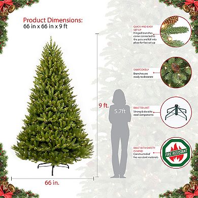 PULEO INTERNATIONAL 9-ft. Pre-Lit Fraser Fir Artificial Christmas Tree