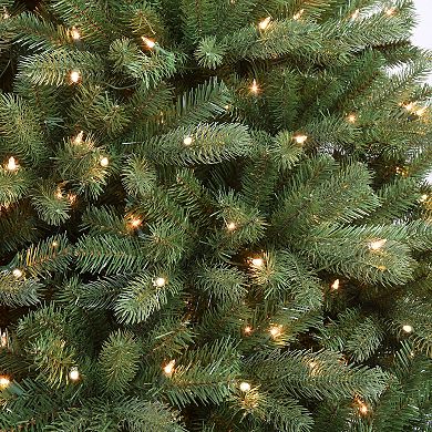 Puleo International 7-ft. Pre-Lit Douglas Fir Premier Artificial Christmas Tree