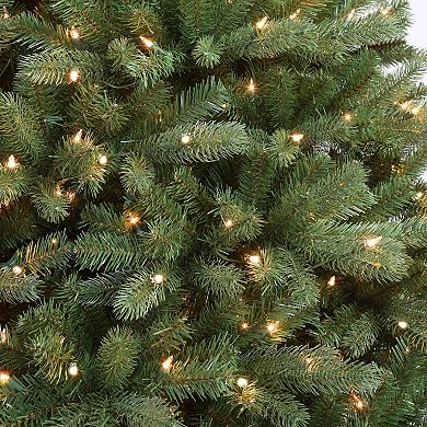 PULEO INTERNATIONAL 7-ft. Pre-Lit Douglas Fir Premier Artificial Christmas Tree