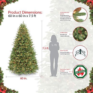 PULEO INTERNATIONAL 7-ft. Pre-Lit Douglas Fir Premier Artificial Christmas Tree