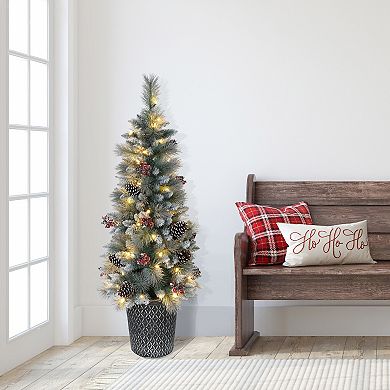 PULEO INTERNATIONAL 4.5-ft. Pre-Lit Potted Sterling Pine Tree