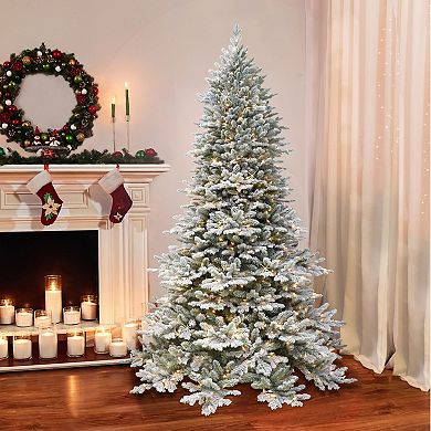 PULEO INTERNATIONAL 7.5-ft. Douglas Fir Downswept Flocked 800-Light Artificial Christmas Tree