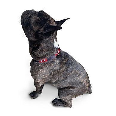 Disney I Am Mickey Collar