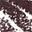612 Dimension Dark Bro