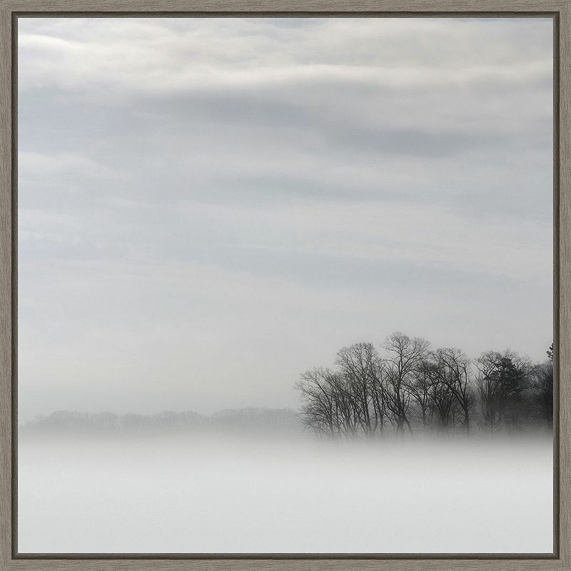 Amanti Art Lake of Fog and Trees Framed Canvas Wall Art, Grey, 16X16