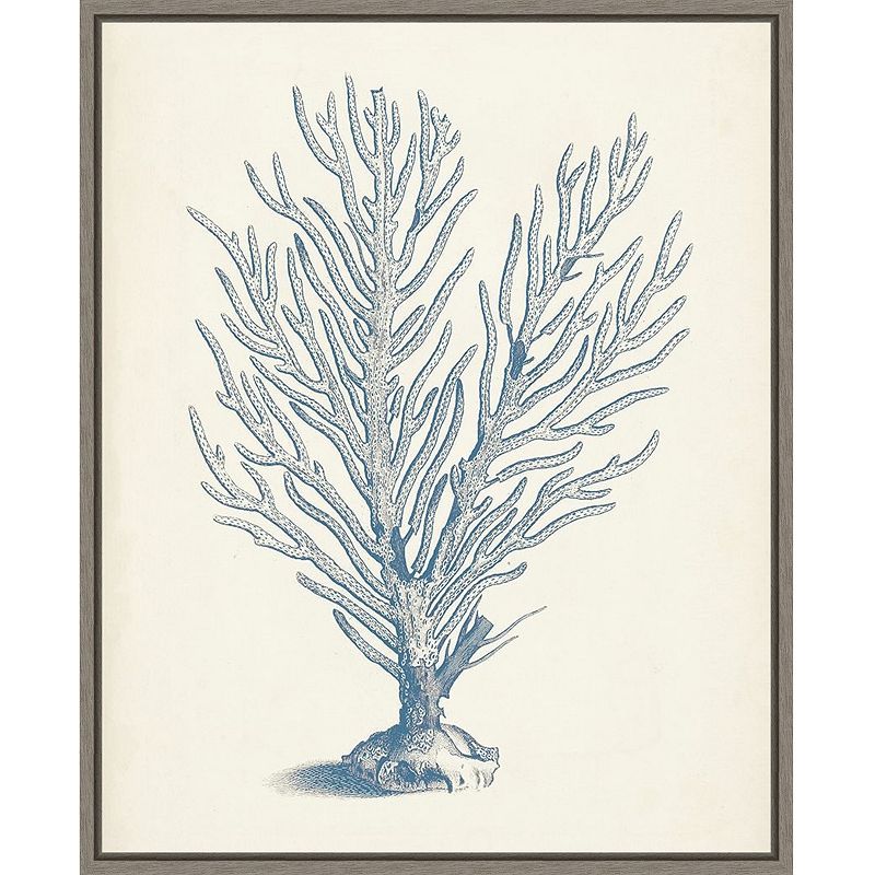 Amanti Art Antique Inspired Coral II Framed Canvas Wall Art, Grey, 16X20
