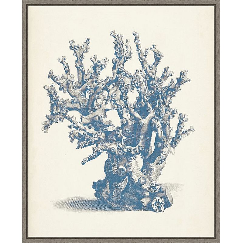 17953370 Amanti Art Antique Inspired Coral V Framed Canvas  sku 17953370