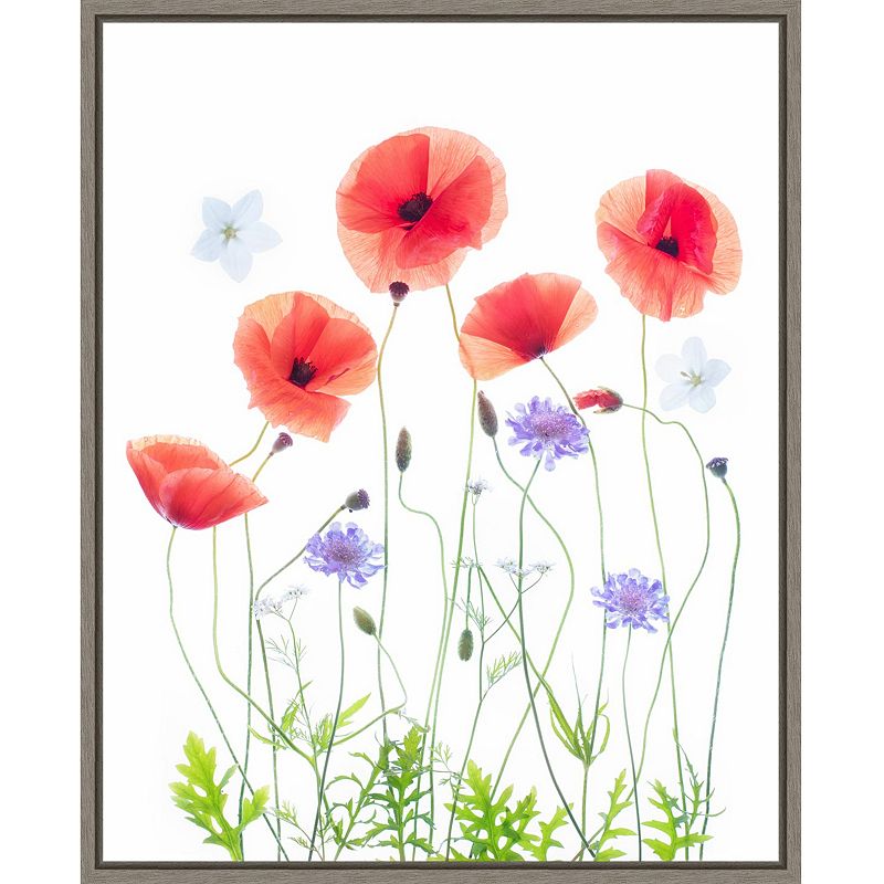 Amanti Art Poppy Garden Framed Canvas Wall Art, Grey, 16X20