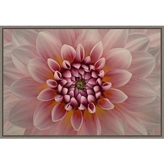 Amanti Art Pink Dahlia Macro Framed Canvas Wall Art
