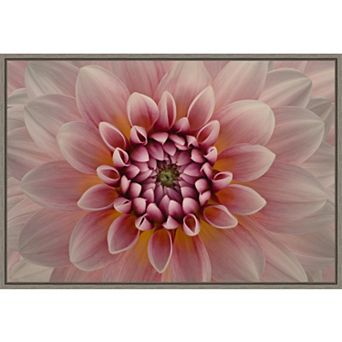 Amanti Art Pink Dahlia Macro Framed Canvas Wall Art