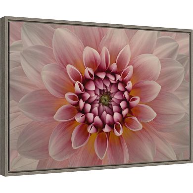 Amanti Art Pink Dahlia Macro Framed Canvas Wall Art