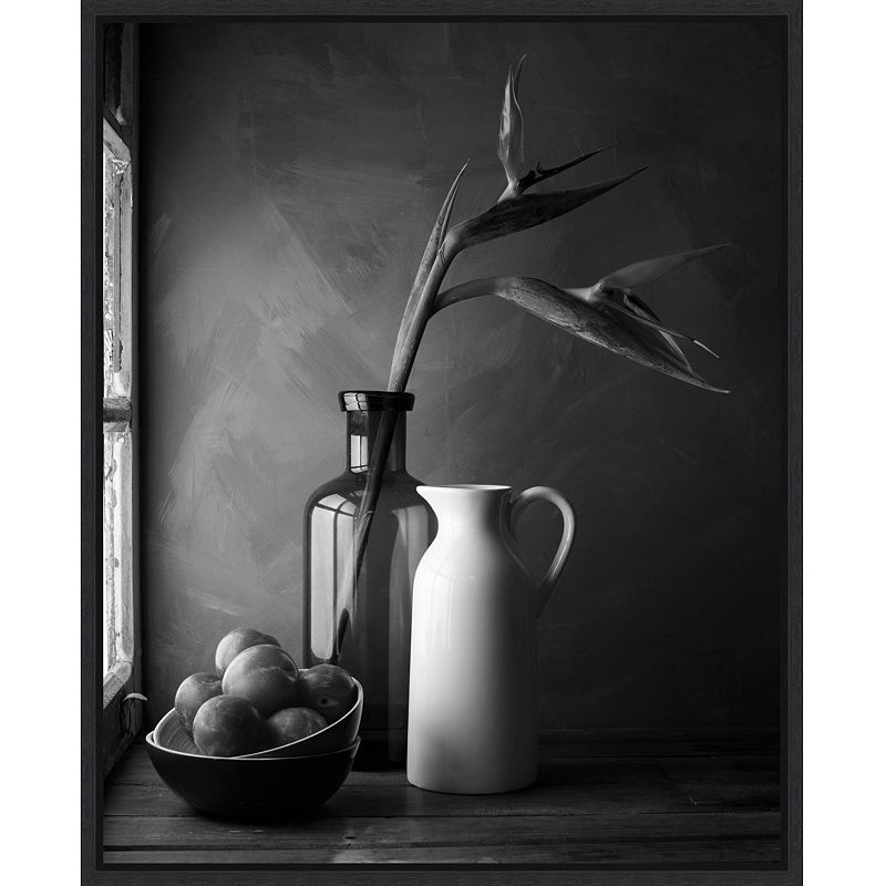 Amanti Art Plums Jars Still Life Framed Canvas Wall Art, Black, 16X20