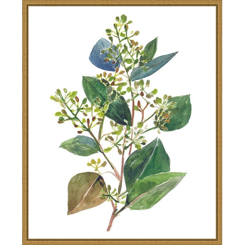 17953375 Amanti Art Seeded Eucalyptus II Framed Canvas Wall sku 17953375