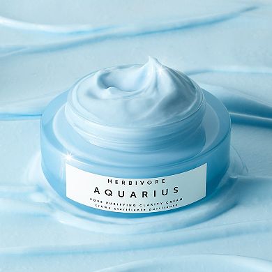 Aquarius Pore Purifying BHA Cream