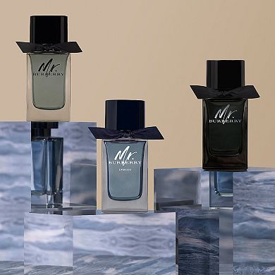 Mr. Burberry Eau de Toilette with Grapefruit and Vetiver