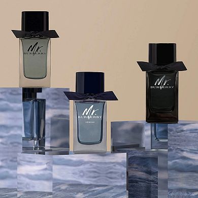 Mr. Burberry Eau de Toilette with Grapefruit and Vetiver
