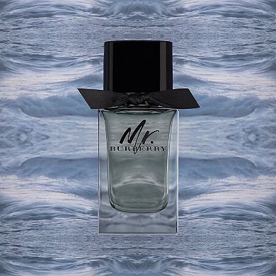 Mr. Burberry Eau de Toilette