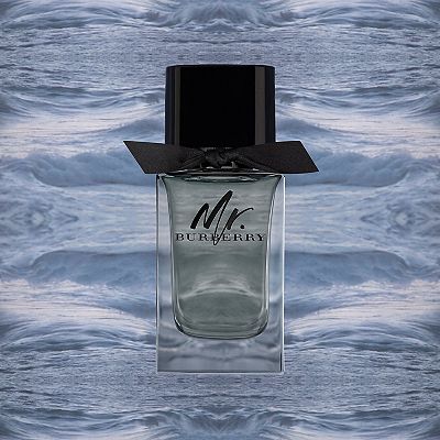 Mr burberry eau de toilette best sale