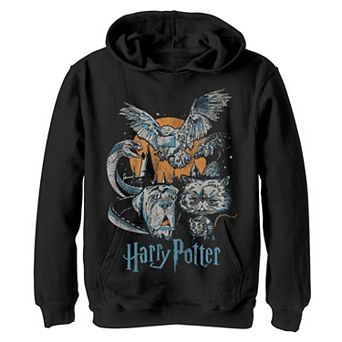 Boys 8-20 Harry Potter Night Animal Group Shot Graphic Fleece Hoodie