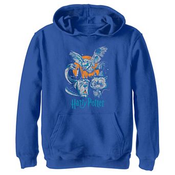 Boys 4-20 Harry Potter Night Animal Group Shot Graphic Fleece Hoodie