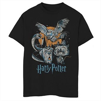 Boys 8-20 Harry Potter Night Animal Group Shot Graphic Tee