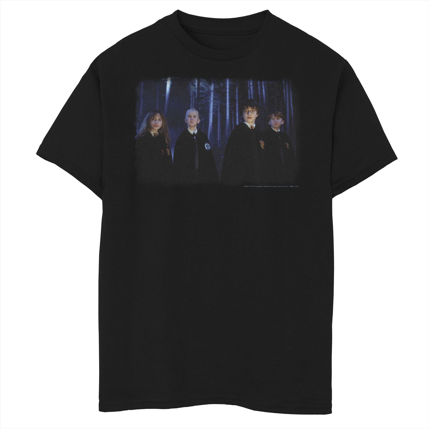 Image for Harry Potter Boys 8-20 Forbidden Forest Group Shot Graphic Tee at Kohl's.