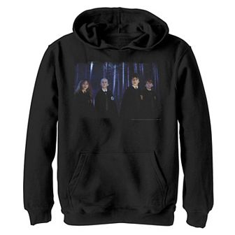 Boys 8-20 Harry Potter Forbidden Forest Group Shot Graphic Fleece Hoodie