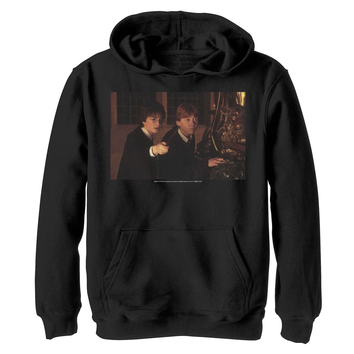 Image for Harry Potter Boys 8-20 Ron & Harry Wands Ready Portrait Graphic Fleece Hoodie at Kohl's.