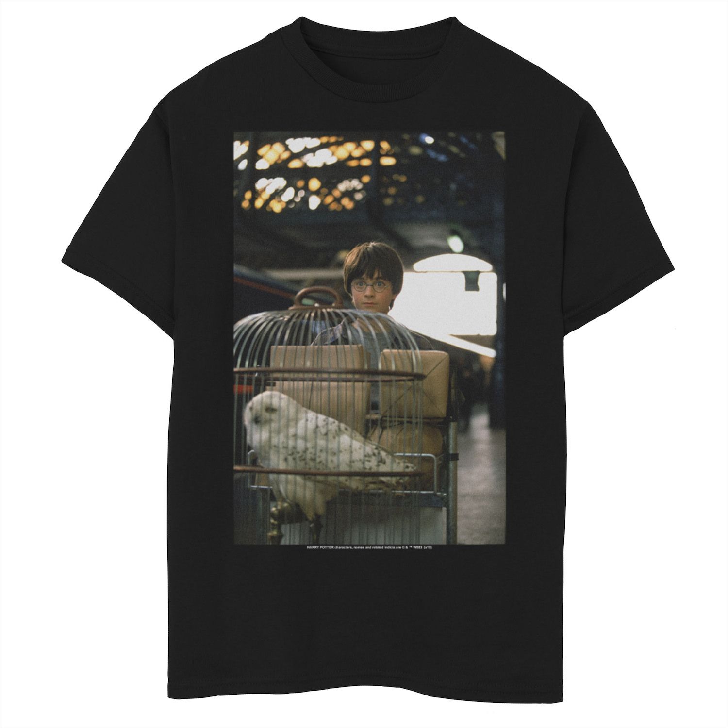 Image for Harry Potter Boys 8-20 And Hedwig Platform 9 3/4 Poster Graphic Tee at Kohl's.