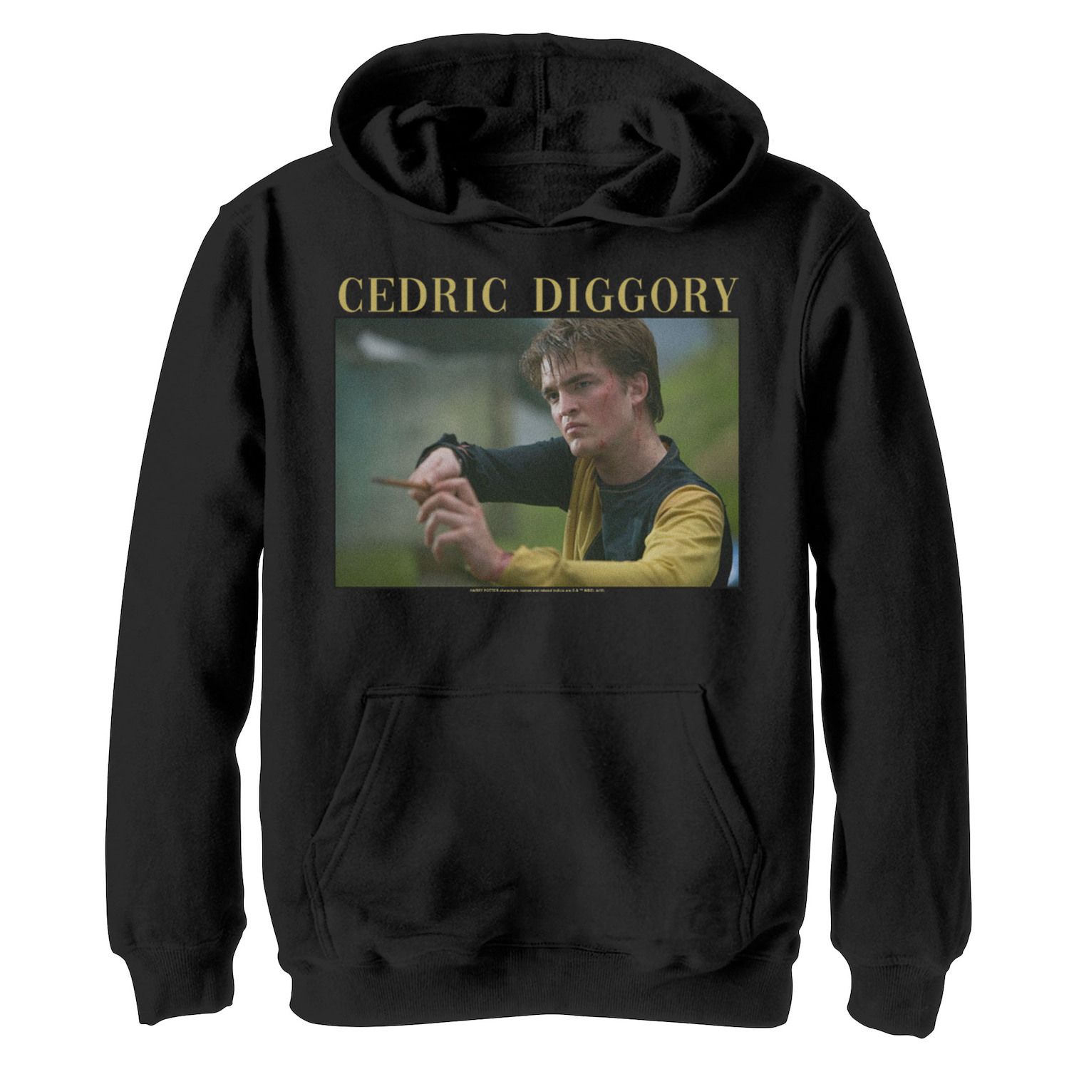 Image for Harry Potter Boys 8-20 Cedric Diggory Wand Portrait Graphic Fleece Hoodie at Kohl's.