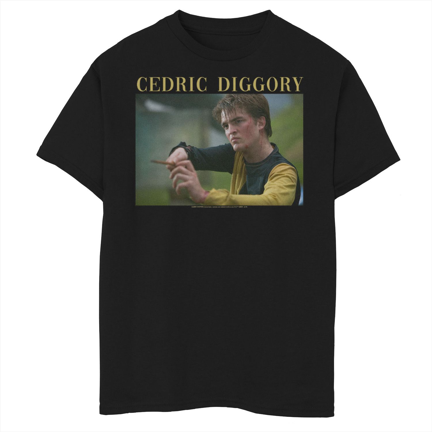 Image for Harry Potter Boys 8-20 Cedric Diggory Wand Portrait Graphic Tee at Kohl's.