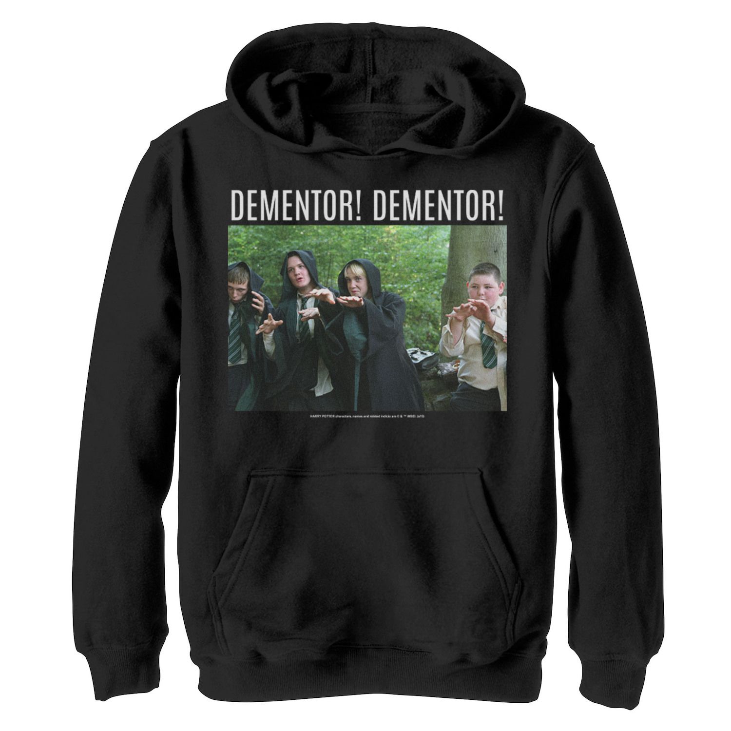 Image for Harry Potter Boys 8-20 Draco Malfoy Dementor Dementor Portrait Graphic Fleece Hoodie at Kohl's.