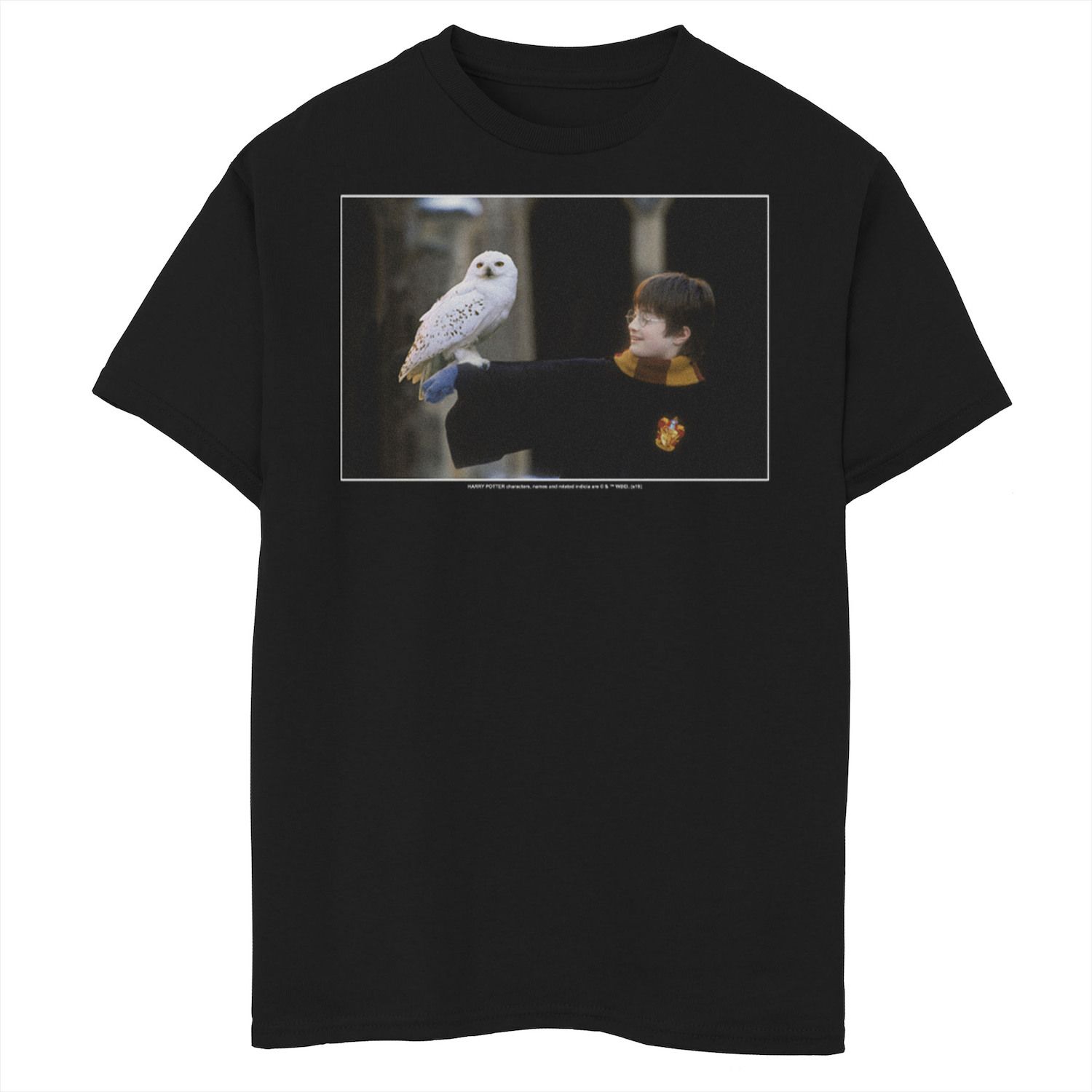 Image for Harry Potter Boys 8-20 Harry And Hedwig Portrait Graphic Tee at Kohl's.