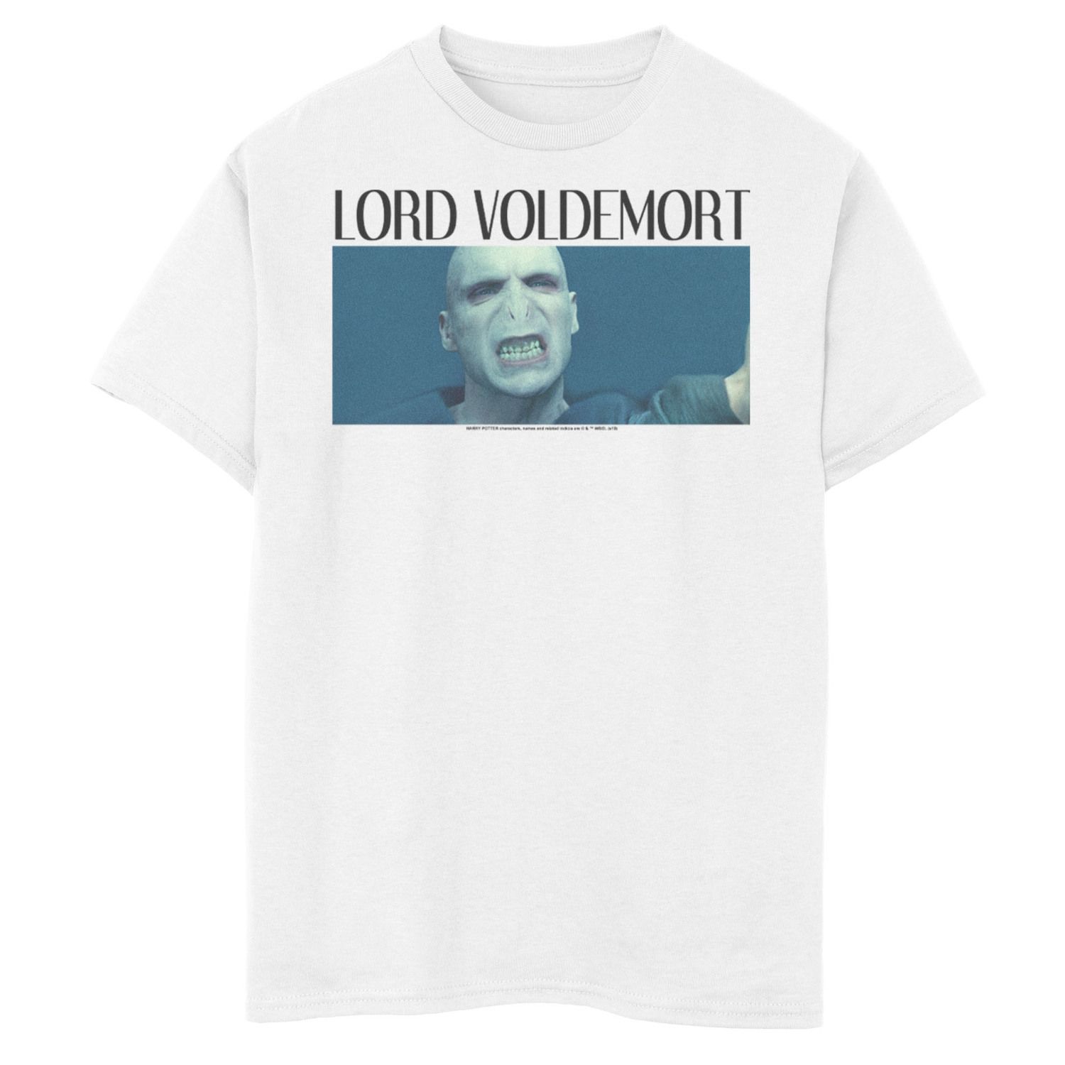 Image for Harry Potter Boys 8-20 Lord Voldemort Poster Graphic Tee at Kohl's.