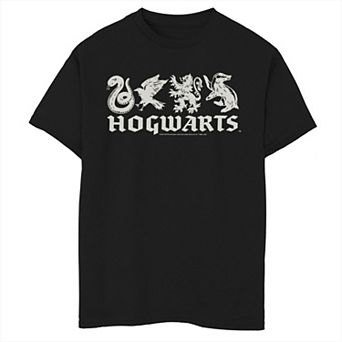 Boys 6-20 Harry Potter Hogwarts House Icons Line Up Graphic Tee