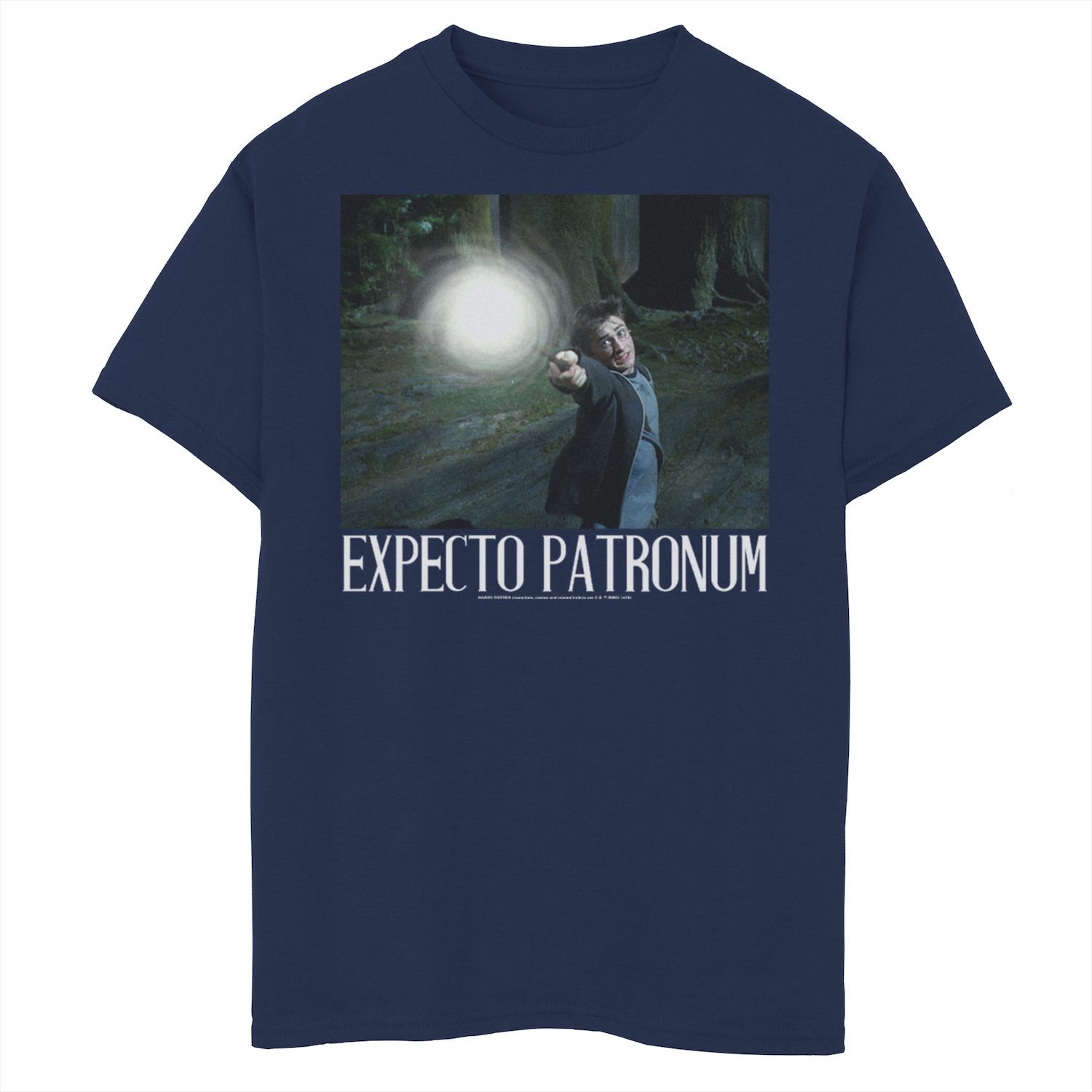 Image for Harry Potter Boys 8-20 Expecto Patronum Portrait Graphic Tee at Kohl's.