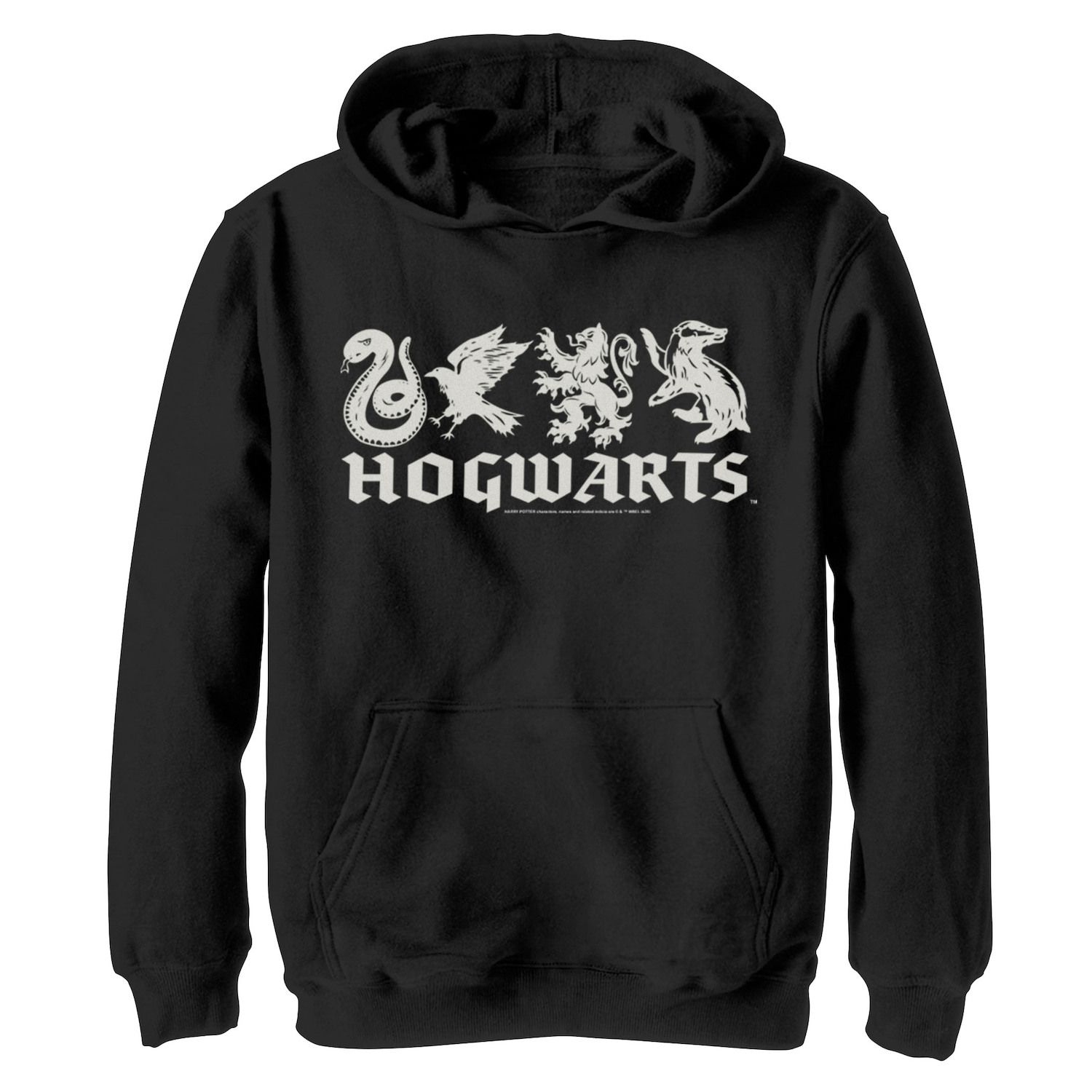 Image for Harry Potter Boys 8-20 Hogwarts House Icons Line Up Graphic Fleece Hoodie at Kohl's.